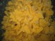 Thumbs/tn_DSechelt 022.jpg